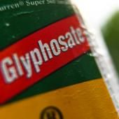 Le Luxembourg va interdire le glyphosate fin 2020, une première en Europe 