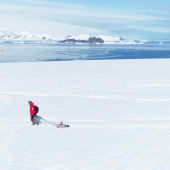 Voir la vidéo de Antarctique : des chercheurs isolés par la guerre